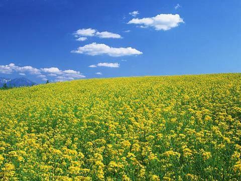 夏天文案,夏天短句.适合夏天的文案短句（精选35条）